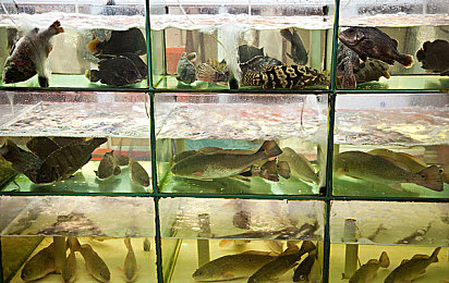 性别 自由 凸轮 管 西元点｜“科技赋能女性新未来，凸轮管西元点启航性别平等新纪元”-2