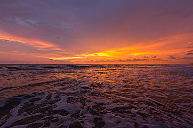微微草十年沉淀只做经典｜十年磨一剑，微微草经典回归乐坛，全新专辑即将绽放经典之作-2