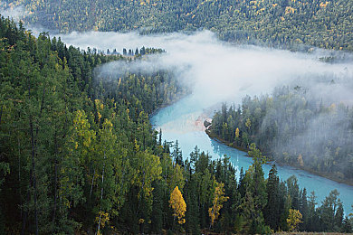 十八禁 app|成人探险之旅:揭秘虚拟成人世界的神秘魅力-2