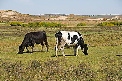 男女叉叉叉软件｜破茧而出，社交新纪元：“男女叉叉叉”引领匿名互动风潮-1