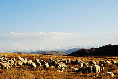 娇小BBWBBw娇小｜迷你魅力：娇小舞者梦想之旅-2