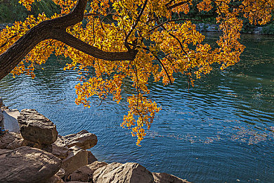 91文化传媒有限公司官网｜焕新启航，91传媒官网助力行业新纪元-3