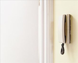 柑橘直播app｜柑橘直播app助力产业升级，农业直播新篇章开启-3