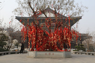 99re99热｜99re99热直播热潮解析：社会影响与未来趋势探讨-3