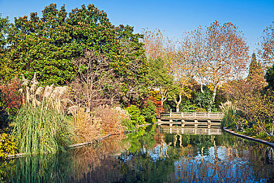 8008幸福宝官网隐藏入口最稳新章节|探险奇遇:解锁8008幸福宝官网神秘宝藏新篇章-1