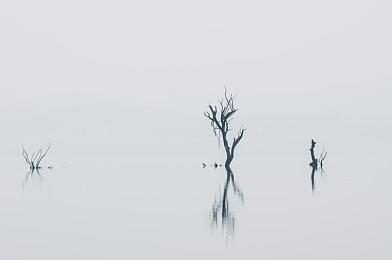 拔萝卜打牌不盖被子｜趣味无限，欢乐减压：“拔萝卜打牌不盖被子”游戏体验大揭秘-1