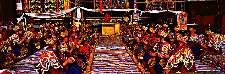 打扑克剧烈运动视频｜扑克牌运动盛宴：心理与身体的双重挑战-1