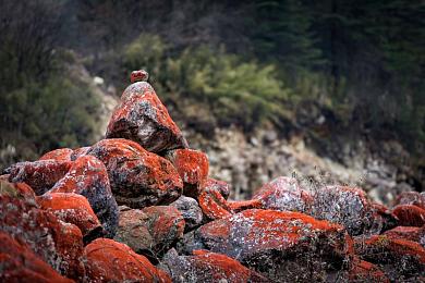 51吃饭热心朝阳群众｜温暖社区，朝阳行动，爱心织梦-1