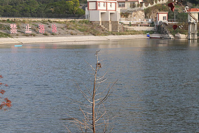 小南手鞠张嘴流眼泪图片高清｜泪洒屏幕，共赴心灵共鸣：小南表情触动网络心弦，揭示现代压力下的社会心声-3