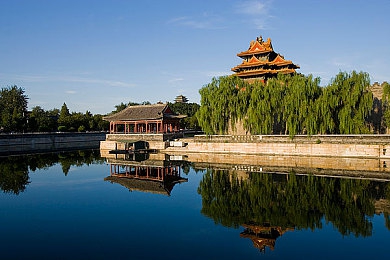 黄色18|“破网行动,守护青春,共筑清朗网络空间”-1