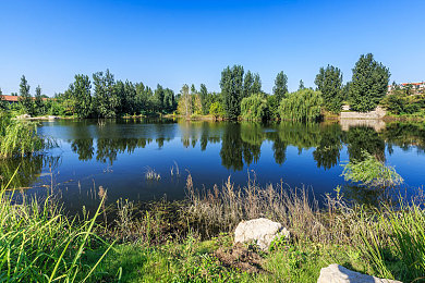 将界2雷蕾被打开双腿|奇幻世界新篇章,雷蕾双腿被开启,网络文学创新引热议-3