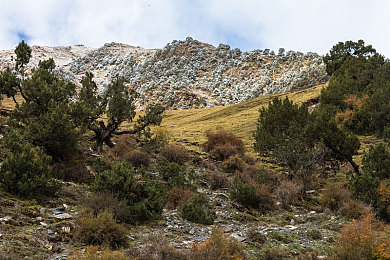 印度姓BAHUGUNA｜千年守护者，BAHUGUNA家族：印尼多元文化的璀璨明珠-3