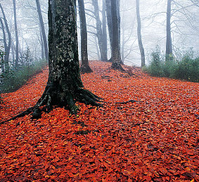 张津瑜被 的最深的一天｜企业危机逆袭，重塑商业巅峰之路-1