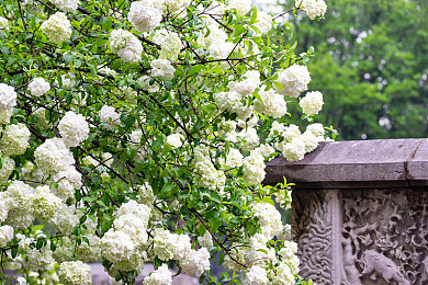 搞机time10分钟不用下电信长安快手|电信长安快手,10分钟速玩热门游戏,畅享搞机新体验-2