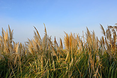 今天高清视频免费播放第1集插曲|免费高清视频盛宴来袭:一集插曲抢先听,体验“今天”平台视听新境界-2