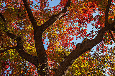 黄台软仵2024下|黄台软仵2024下技术解析:引领未来科技潮流,揭秘神秘变革力量-3