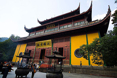 美国摘花第一次失贞｜花海失贞：公益挑战背后的反思之旅