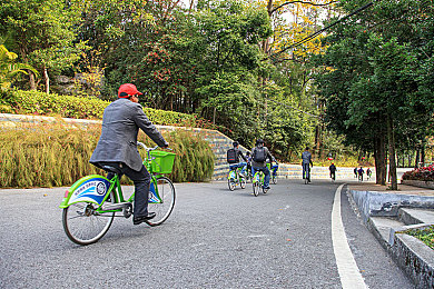 51吃瓜爆料黑料网曝门｜网络风暴中真相与谣言的博弈游戏-2