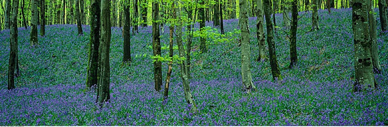 b站推广入口2023mmm｜探索b站2023mmm：创新短视频新纪元，解锁游戏互动新篇章-1