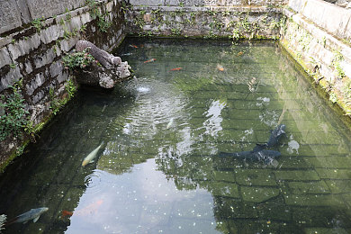 1511大但人文艺术欣赏|“1511大但文化盛宴:人文艺术欣赏活动精彩落幕,传承与创新共绘文化新篇章”-2