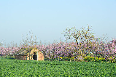 草莓视频色｜草莓视界，色彩冲击，探索网络文化新风尚