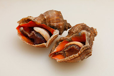 劲爆新瓜核能张津瑜｜核能新星张津瑜：揭秘低调科研女神的辉煌成就-3