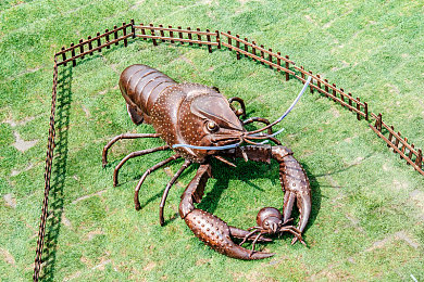 世界姓交大比赛男冠军1｜国际赛场耀我国威，冠军之光映照体育未来之路