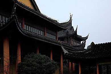 舞姬直播|舞动直播盛宴,舞姬互动艺术之旅-2