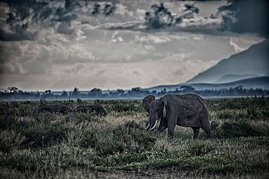 150快餐200带吹电话|“创新融合,餐饮通话两不误:“150快餐200带吹电话”引领便捷生活新潮流”-2