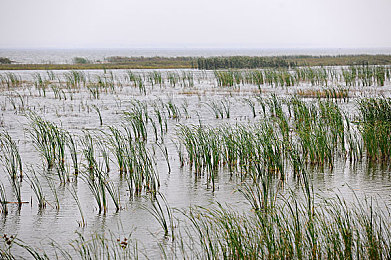 白丝校 脱白丝让我C|青春校园恋爱之旅:白丝蜕变,甜蜜成长,探秘白丝学园-2