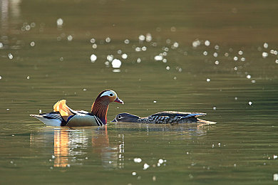 精品九九九|“品质卓越,服务至上:精品九九九如何在竞争中脱颖而出成为消费者首选”-2