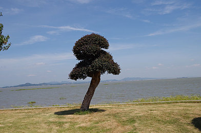 妖女直播5|网络直播风波:妖女风波下的行业监管大挑战-2