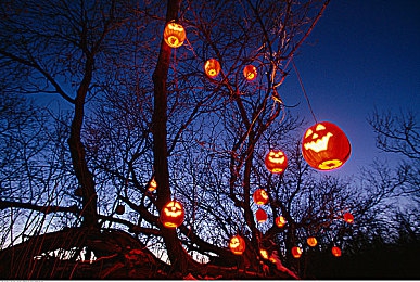 16岁黄色软件｜护航青春，解码网络：16岁少年安全解锁黄色软件之道-3