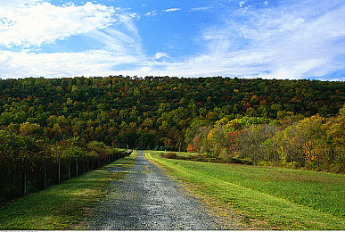 男男GayS 免费网站｜“男男GayS免费网站引发热议：同性恋交流平台如何平衡便利与监管？”-3