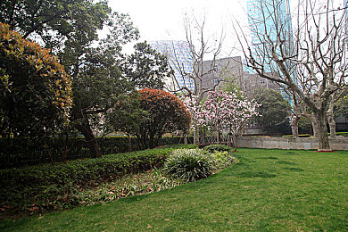 p站破解|揭秘P站破解:解锁《超级马里奥兄弟》新玩法,攻略与风险并谈-1