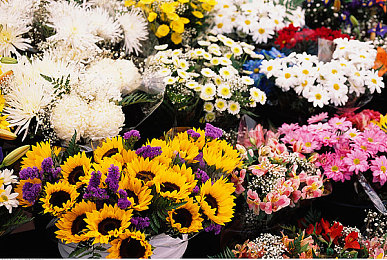 色欲综合天天天综合网站素质|净网先锋:守护青少年,共建清朗网络空间-1