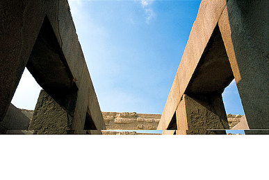 罗宾乔巴｜梦想启航，乔巴逐梦创新路