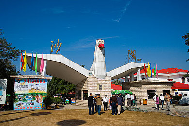 罗宾和乔巴排毒｜罗宾乔巴排毒之旅：净化身心，焕发健康光彩-3