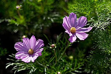 qqc十年沉淀只做精品MBA智库下载｜职场精英智库之旅，QQC助力梦想起航-1