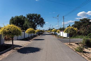 一个好妈妈5个字光头强最佳答案｜育儿之旅：光头强妈妈的智慧引航，成就孩子成长传奇-1