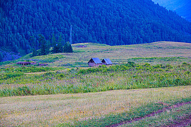 快色app|社交新宠“快色”引热议:匿名互动背后的风险与挑战-2