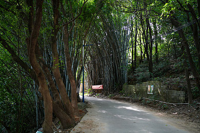 火影18同人手游破解版|忍者兄弟情深,畅享激情岁月游戏体验-1