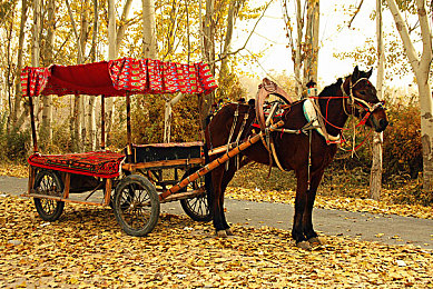 无需付费看美女直播的软件｜畅游游戏直播新境界：免费看美女主播，畅享娱乐新体验-2