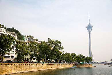 japan素人の排泄脱粪｜肠道守护者：揭秘日本排泄之谜，共建健康社会-2