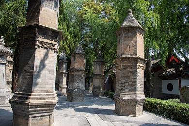 沈阳老阿姨最后的巅峰｜沈阳老阿姨游戏巅峰之旅，温馨养老挑战新体验-2