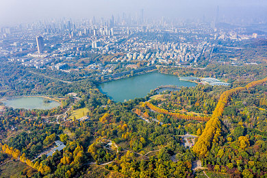 正能量不良网站｜网络净化者：正能量之旅-2