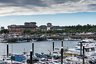 将界2第3集蕾蕾打扑克|《将界2》扑克高手蕾蕾:智慧牌桌上的冷静传奇-3