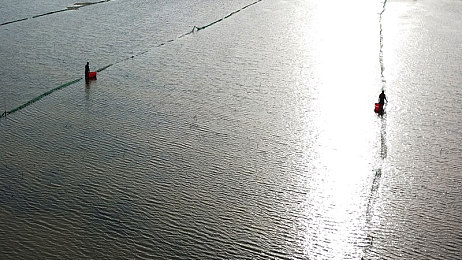 原千岁｜音乐宝藏，原千岁陪你乐享旋律之旅