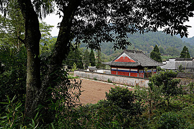 黄WWW｜网络迷雾破晓：黄WWW神秘组织揭秘之旅-3