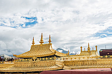 校花被变态用毛笔挠尿孔｜校园校花遭遇变态毛笔袭击，校园安全事件引发社会热议-4